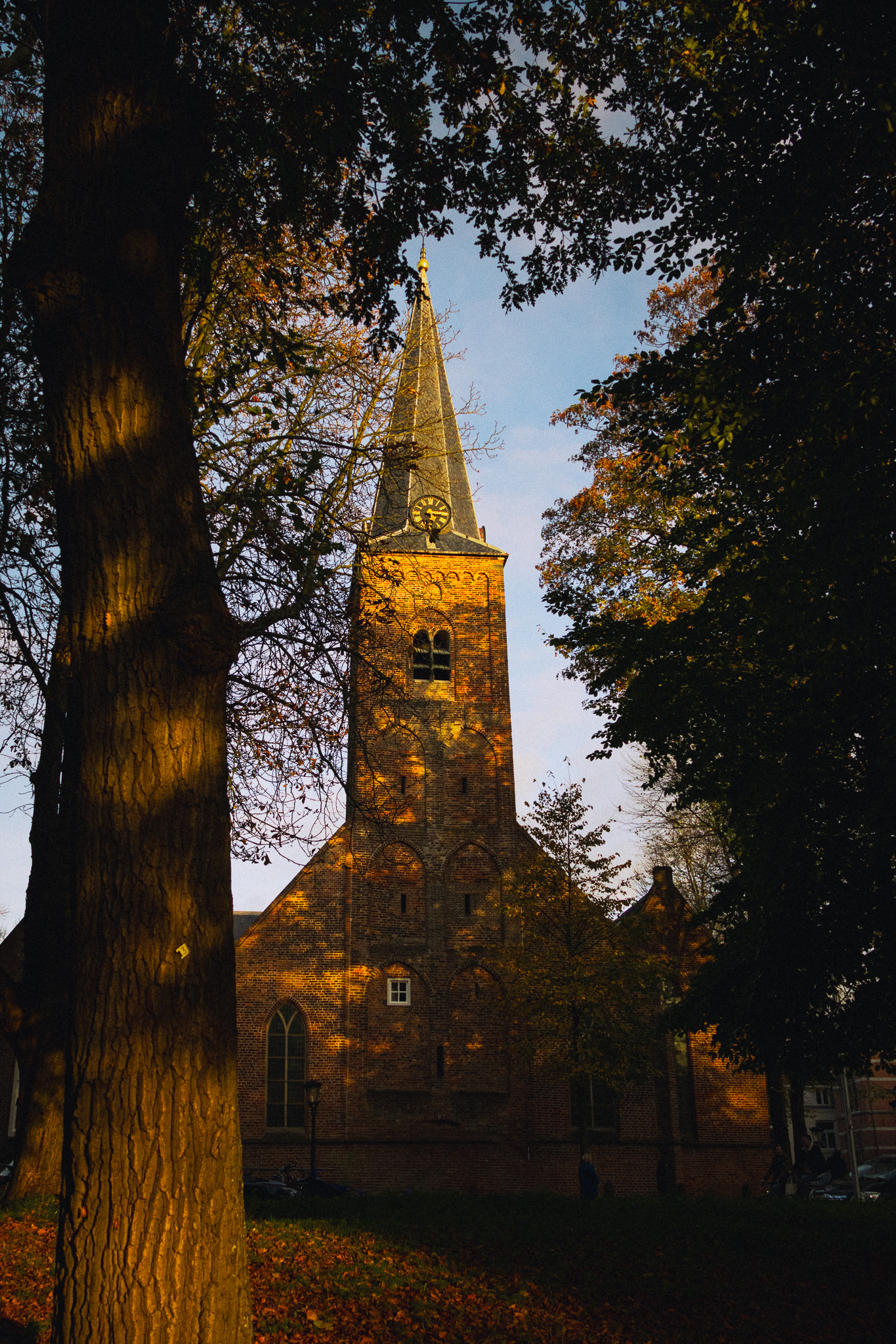 Featured Portfolio Image