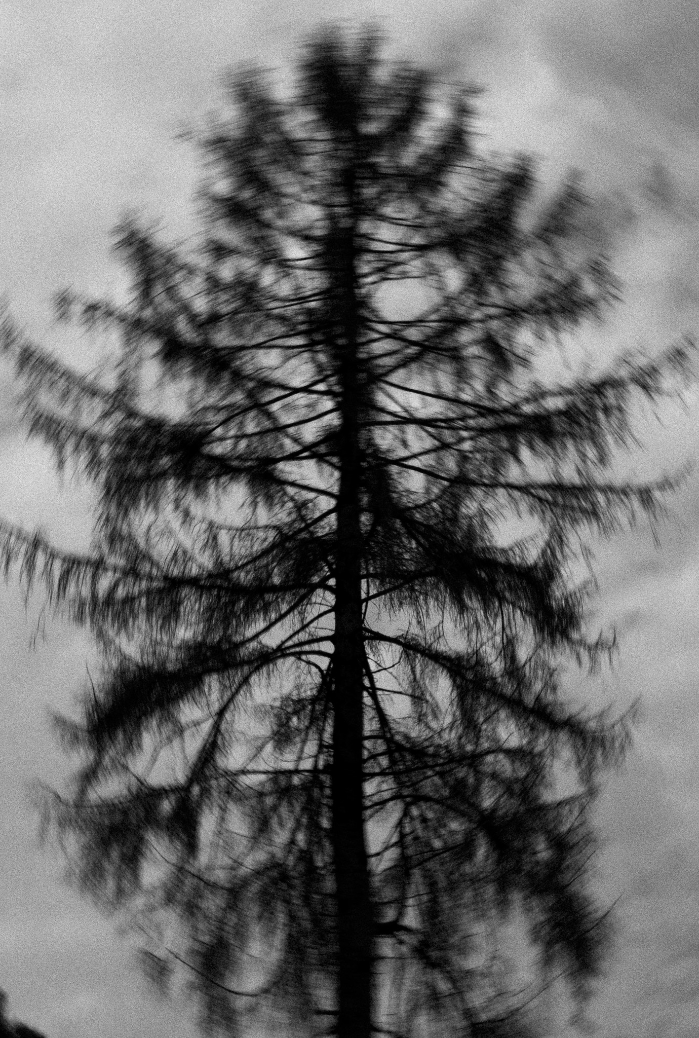 Featured Portfolio Image