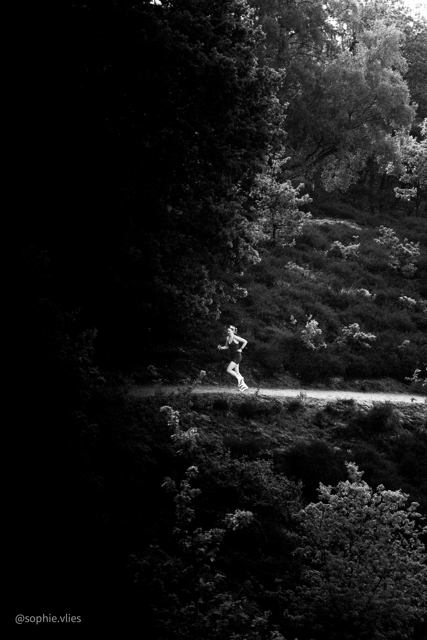 Sports Image 5